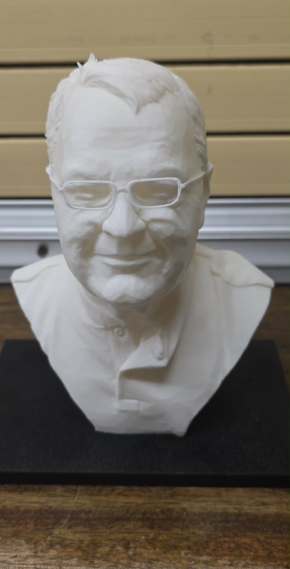 Bespoke 3D Printed Models